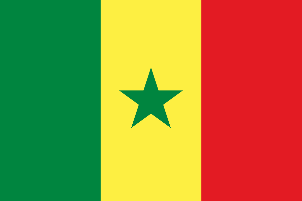 Bandiera di stato Senegal 300x200cm