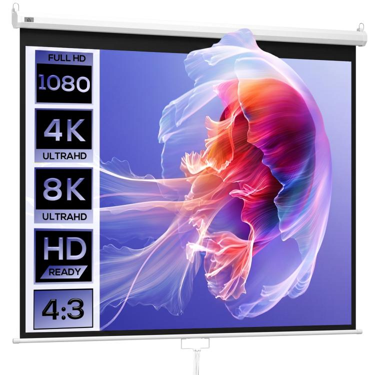 Projector screen 244 x 183 cm (120 inches) 4:3/16:9 Manual projection screen for home cinema