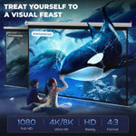 Projector screen 244 x 183 cm (120 inches) 4:3/16:9 Manual projection screen for home cinema