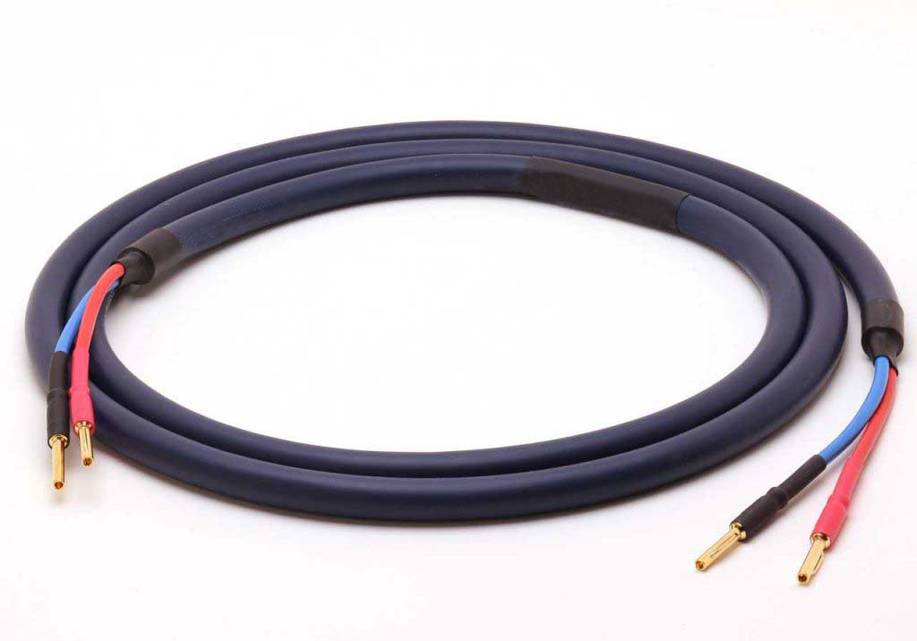 Cavi e Adattatori Audio