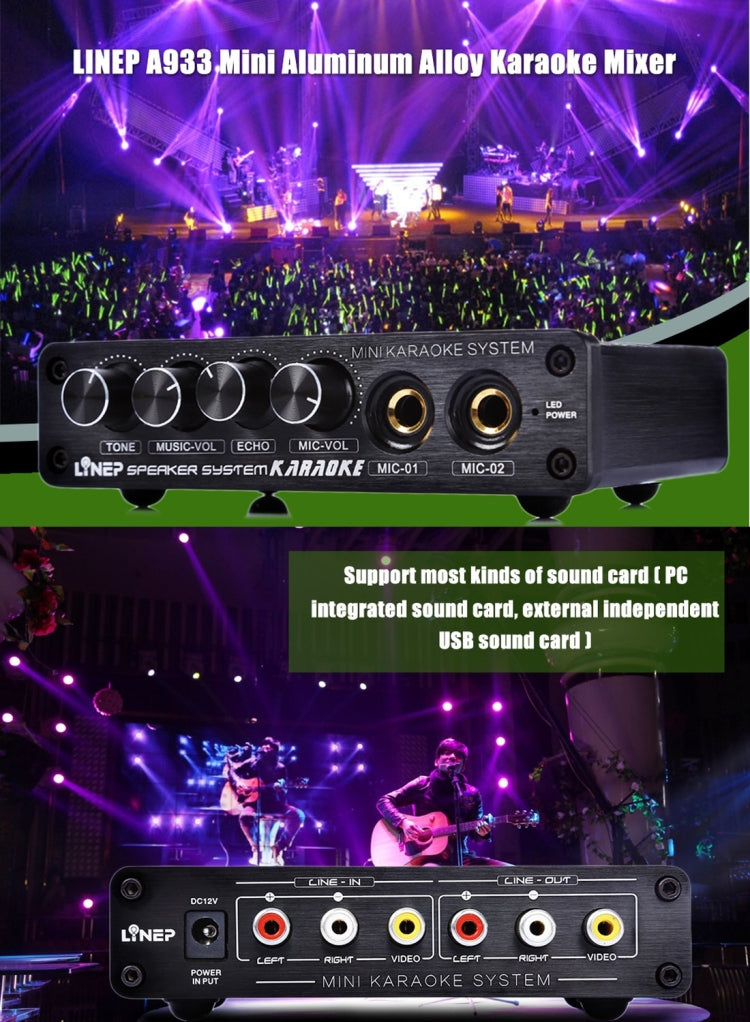Mini Karaoke Amplificatore Mixer Audio A933 per PC e TV