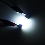 Lampada LED 36mm 1W 6000K luce bianca per auto DC 12V