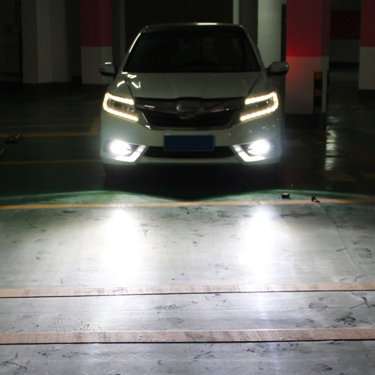 Lampade LED H11 H8 6000K 655LM Fendinebbia Auto