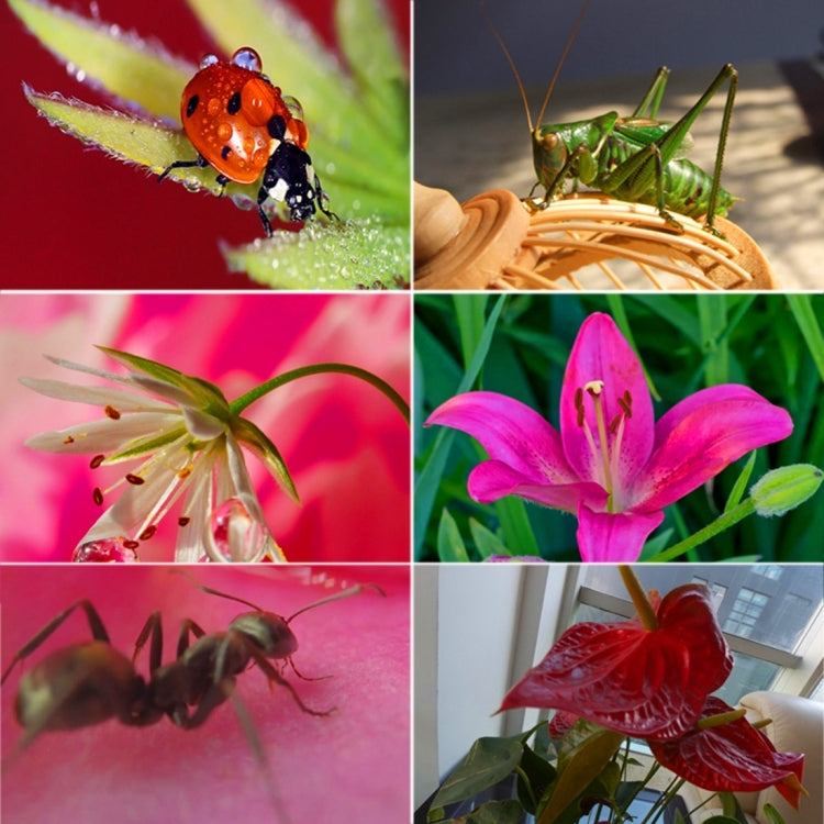 Filtro macro 16X 58mm per GoPro HERO5 con accessori