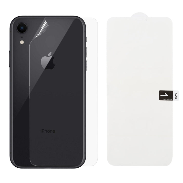 Pellicola protezione schiena smartphone compatibile iPhone Galaxy