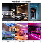 Striscia LED al neon 12V 6A 5m silicone impermeabile IP65