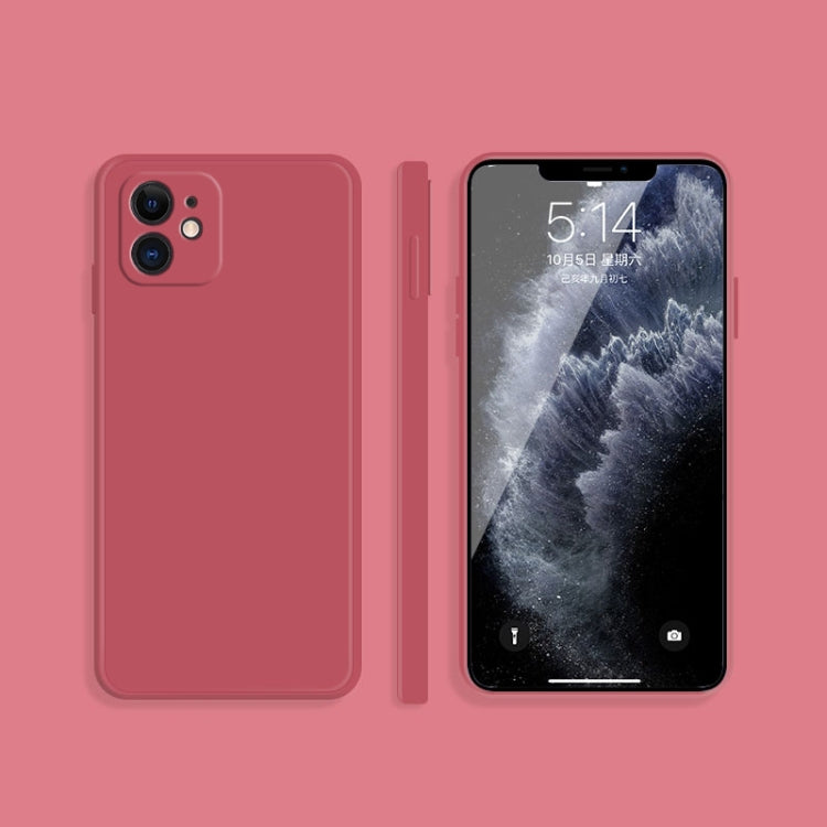 Custodia in silicone liquido per iPhone 12 e iPhone 12 mini