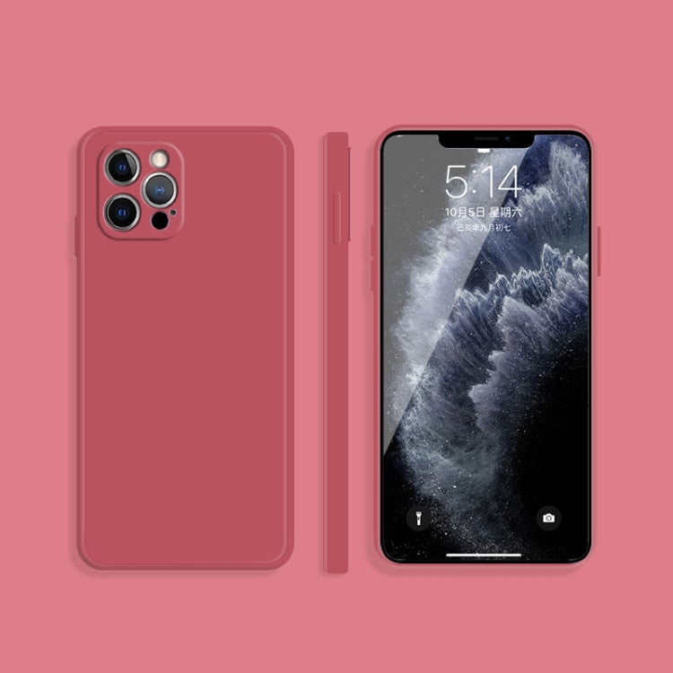 Custodia protettiva in silicone liquido per iPhone 12 Pro Max