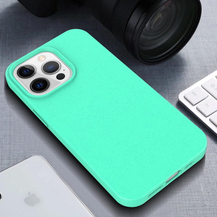 Custodia TPU con materiale paglia per iPhone 13 Pro Max