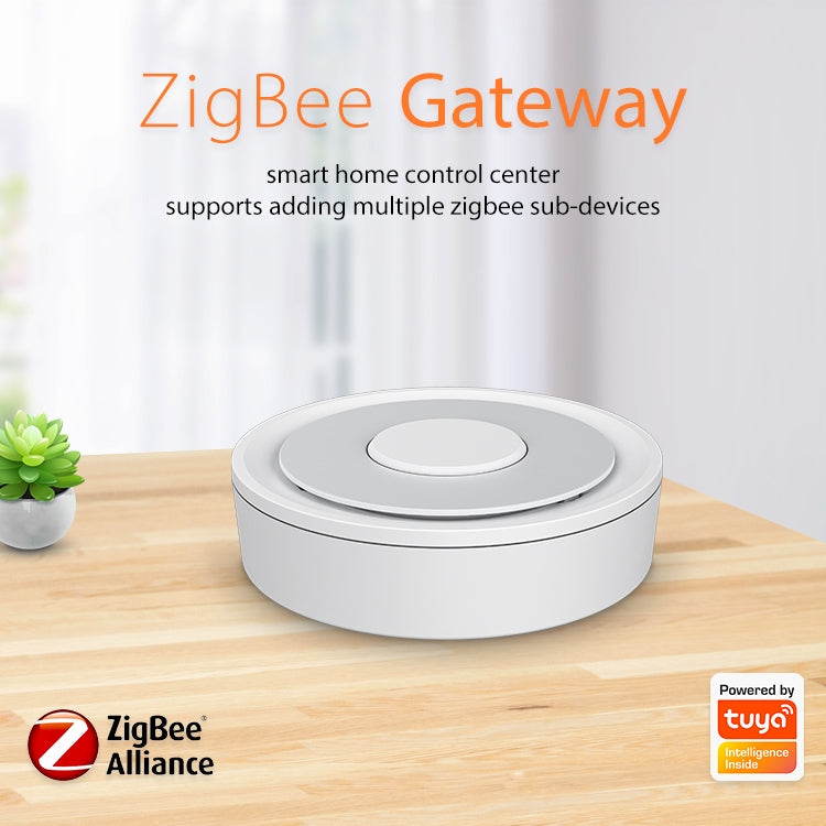 Gateway ZigBee NEO NAS-GW02B con porta Ethernet