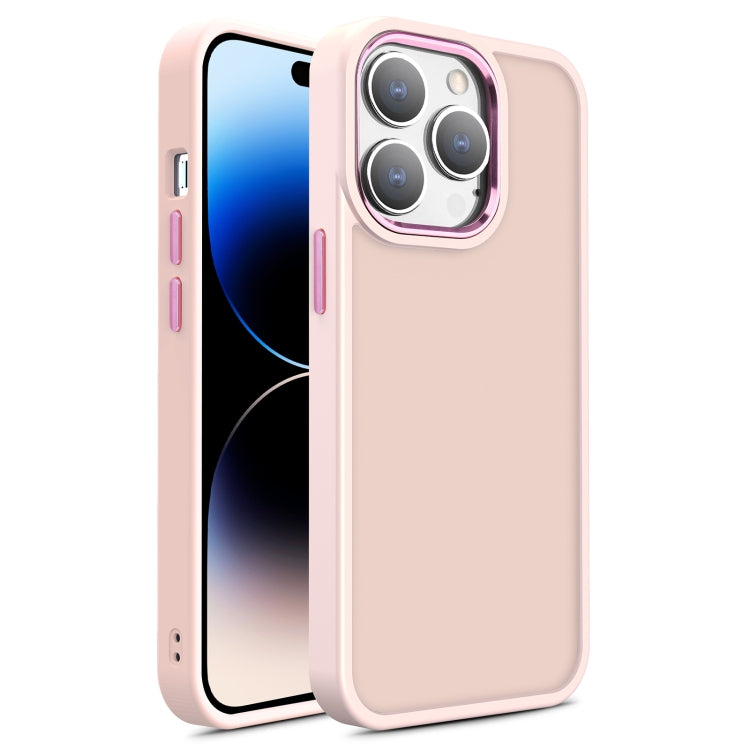 Custodia TPU e PC per iPhone 11