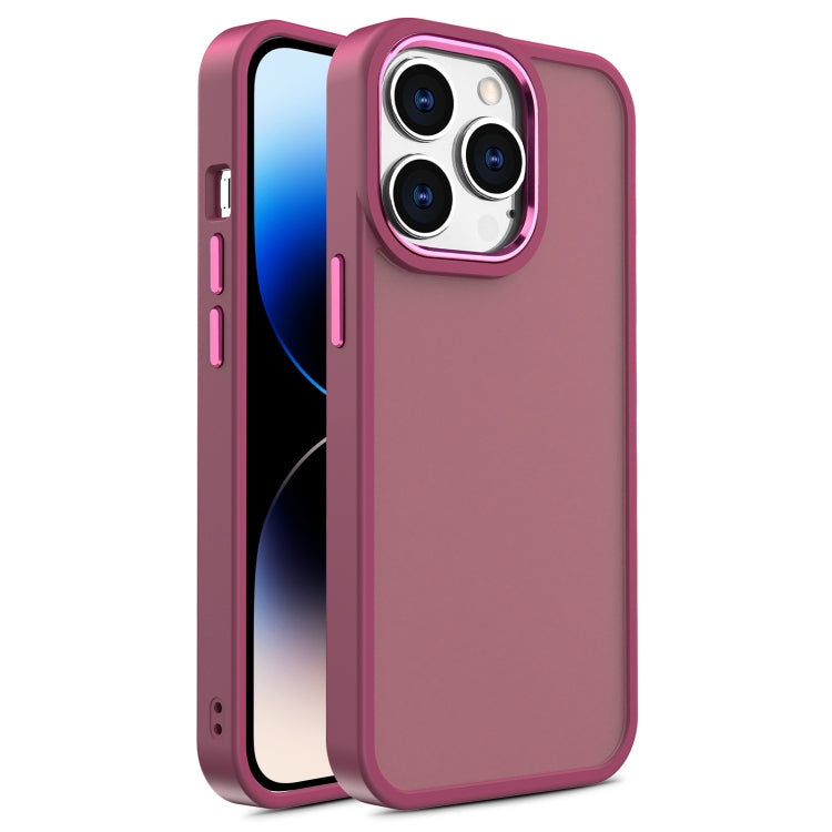 Custodia TPU e PC per iPhone 11