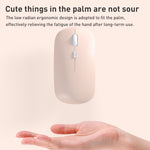 Mouse wireless FOREV FVW312 Bluetooth 2.4G 1600dpi