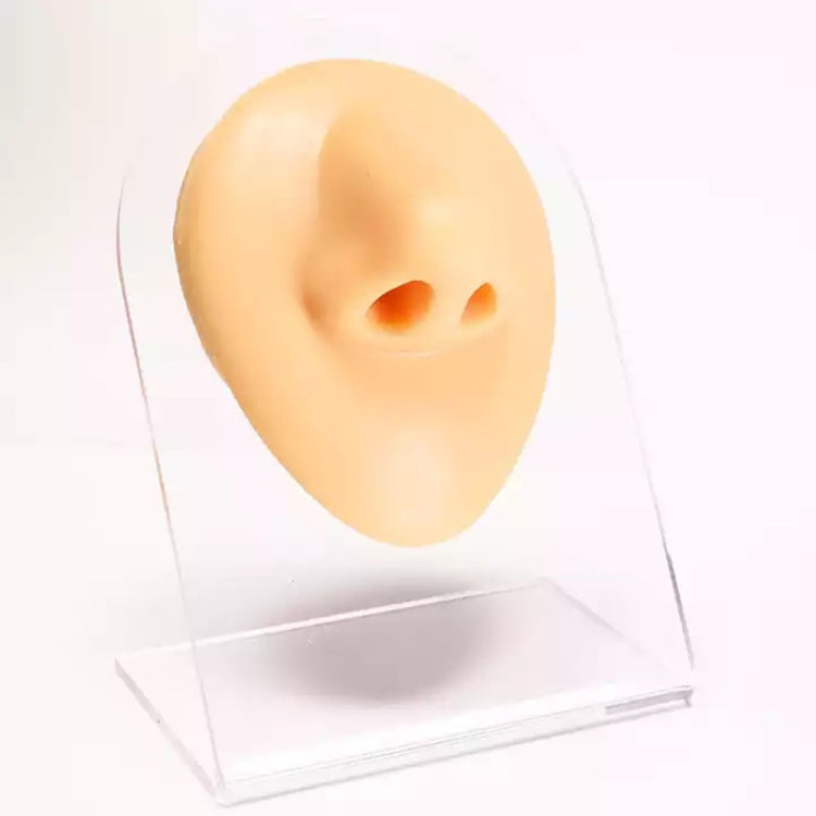 Modello in silicone caratteristiche facciali 10x8x5 cm