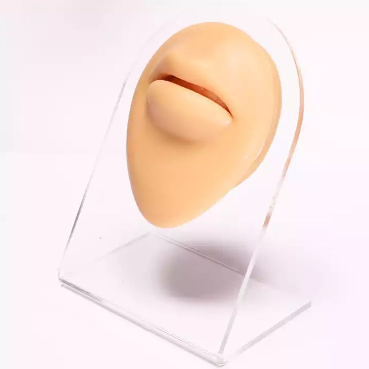 Modello in silicone caratteristiche facciali 10x8x5 cm