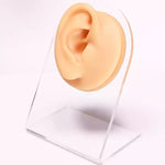 Modello in silicone caratteristiche facciali 10x8x5 cm