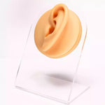 Modello in silicone caratteristiche facciali 10x8x5 cm