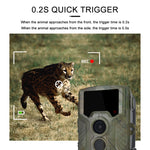 Fotocamera da caccia H881 con schermo TFT 2,4" 21MP