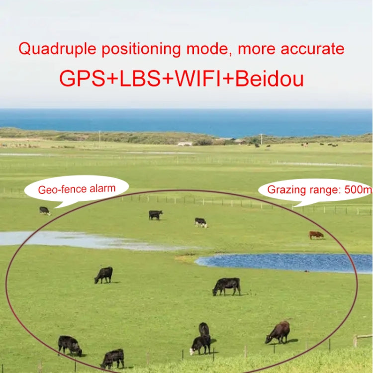 Localizzatore GPS solare 4G per bestiame con memoria