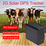 Localizzatore GPS solare 4G per bestiame con memoria