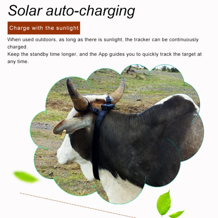 Localizzatore GPS solare 4G per bestiame con memoria