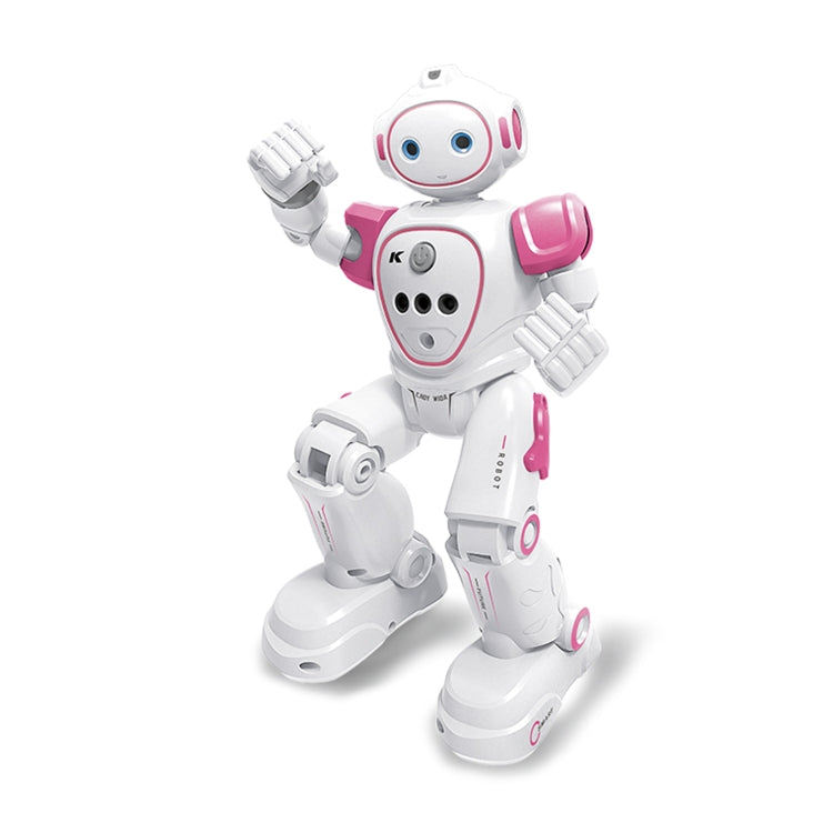 Robot elettrico telecomandato programmato JJR/C R21
