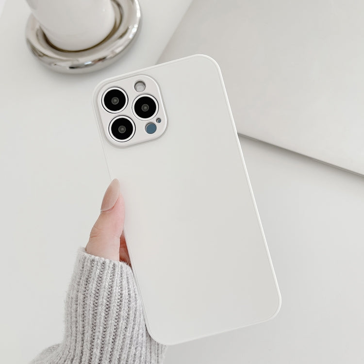 Custodia vetro temperato per iPhone 11 Pro Max