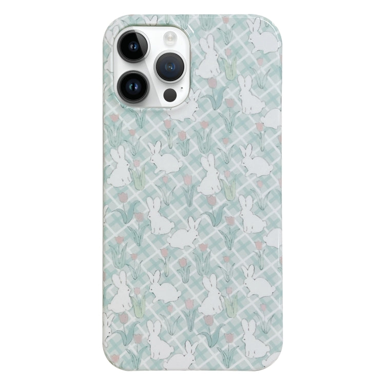 Custodia iPhone 11 Pro Max con motivo dipinto