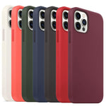 Custodia MagSafe silicone liquido per iPhone 16 Pro Max