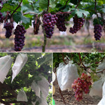 Sacchetti imballaggio impermeabili per frutta 20x28-29x38