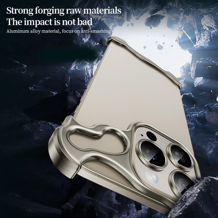 Custodia metallo con pellicola per iPhone 13 Pro Max