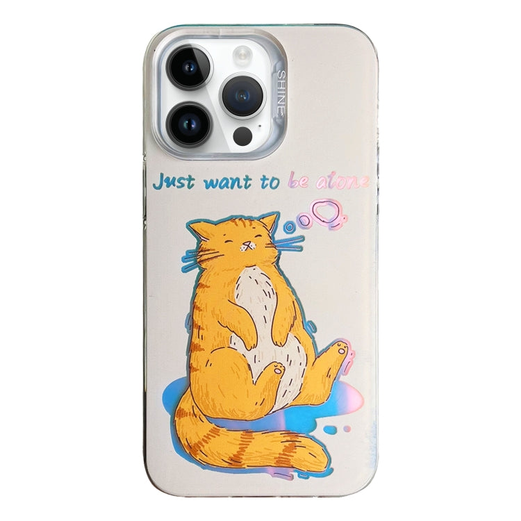 Custodia TPU e PC per iPhone 13 Pro Max motivo colorato