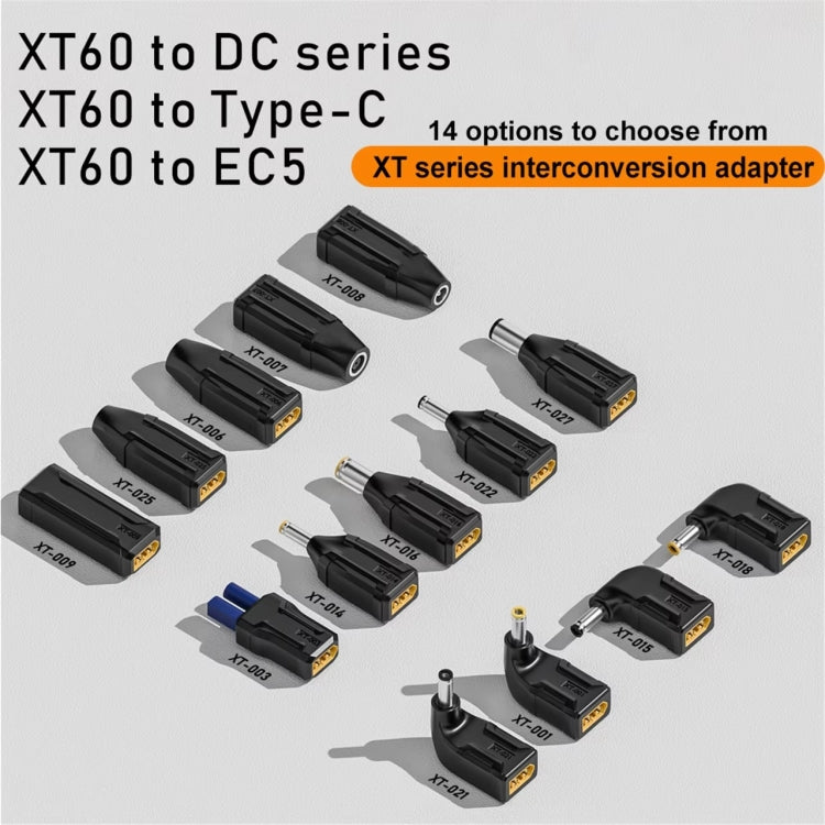 Adattatore XT60 a Type-C e altri connettori 20V