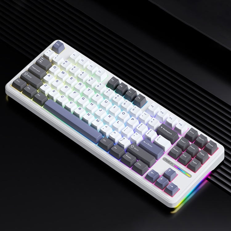 Tastiera meccanica AULA F87 87 tasti RGB cablata e wireless