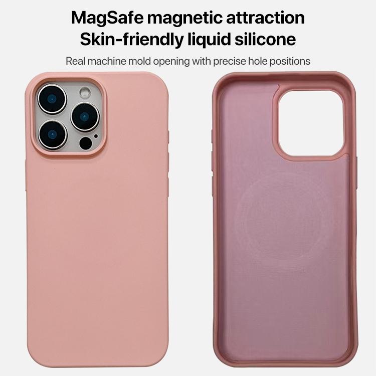 Custodia MagSafe per telefono in silicone liquido, For iPhone 11 Pro Max, For iPhone 11