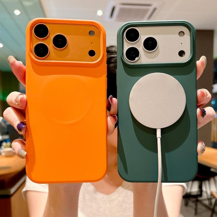 Custodia MagSafe per telefono in silicone liquido, For iPhone 11 Pro Max, For iPhone 11