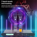 AI-101 Microfono wireless professionale per karaoke domestico con riverbero a 7 bande