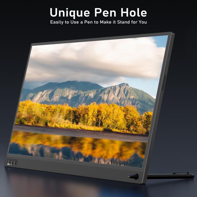 Monitor portatile 16,1 pollici 1080P IPS compatibile vari device