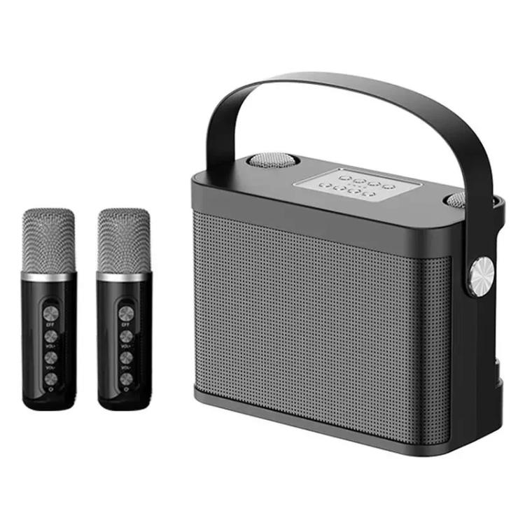 Mini altoparlante karaoke wireless Bluetooth con 2 microfoni