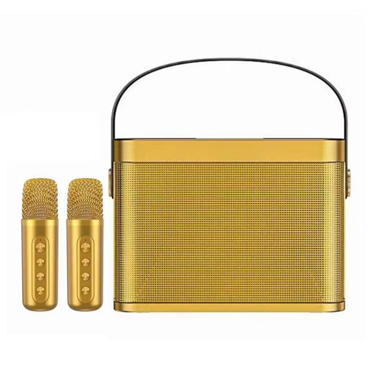 Mini altoparlante karaoke wireless Bluetooth con 2 microfoni