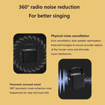 Mini altoparlante karaoke wireless Bluetooth con 2 microfoni