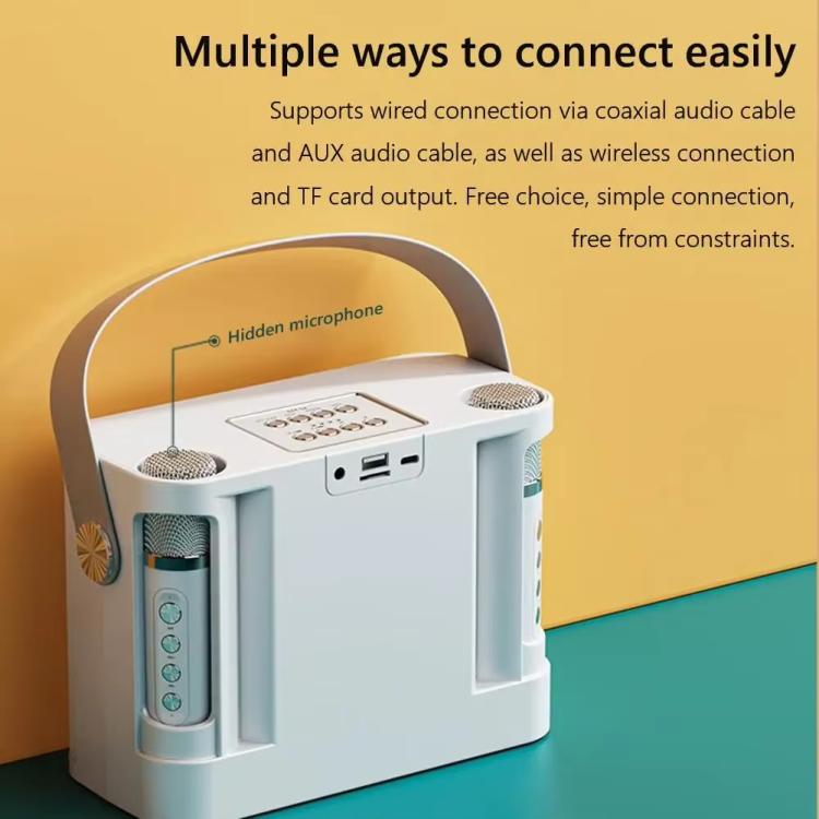 Mini altoparlante karaoke wireless Bluetooth con 2 microfoni