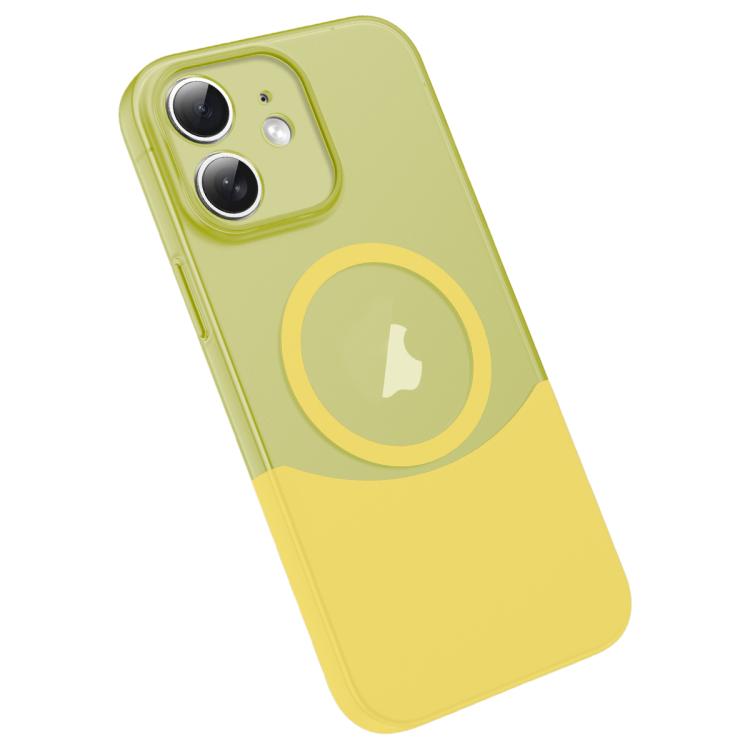 Custodia magnetica in PC per iPhone 11