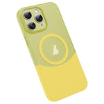 Custodia magnetica in PC per iPhone 11