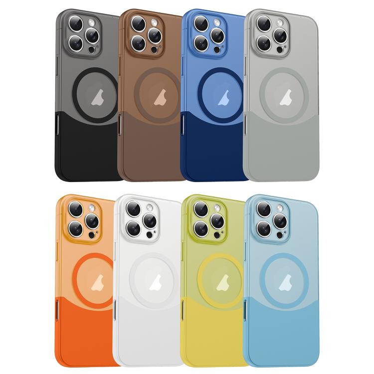 Custodia magnetica in PC per iPhone 11