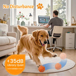 O15 Palla giocattolo automatica per addestramento cani