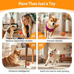 O15 Palla giocattolo automatica per addestramento cani