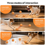 Palla giocattolo automatica per addestramento cani 80 mm