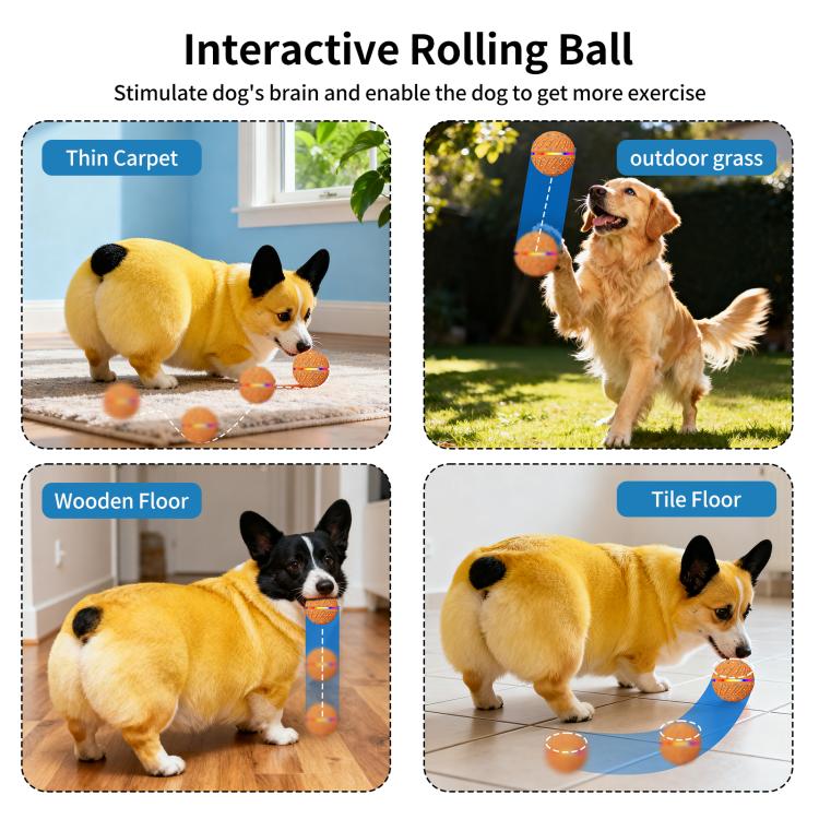 Palla giocattolo automatica per addestramento cani 70 mm