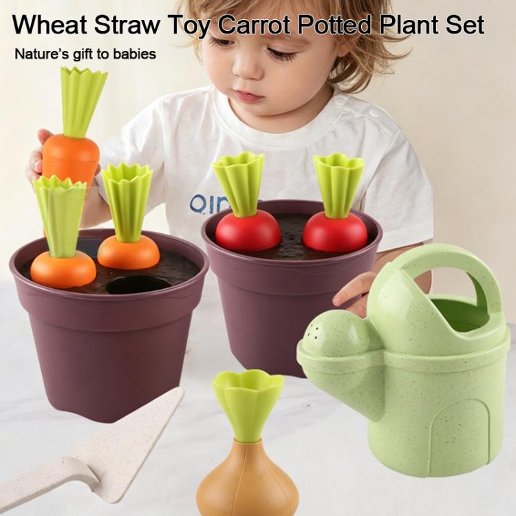 Set di piante in vaso in paglia di grano biologica